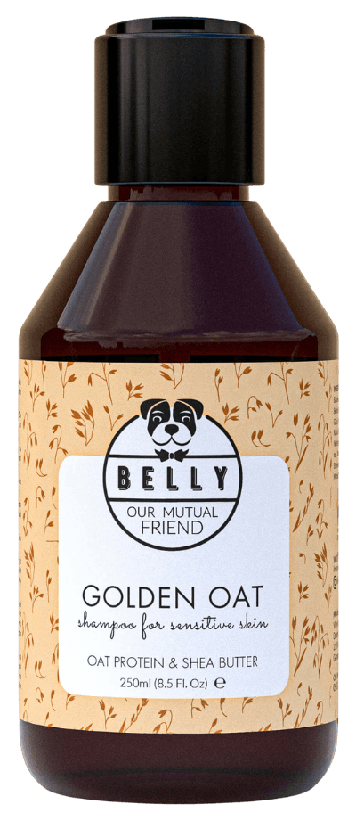 Belly